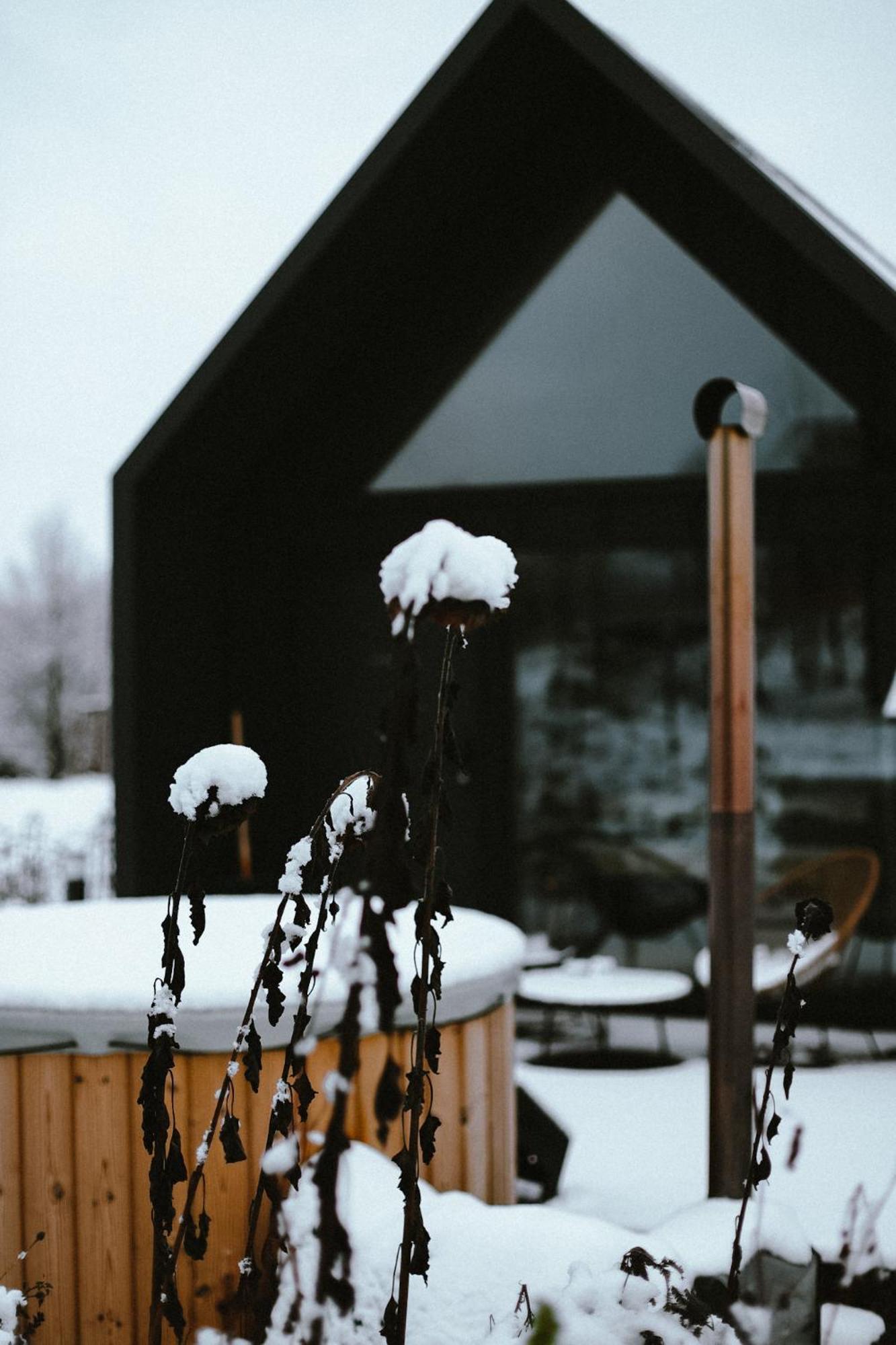 Wiesenglueck Tiny House Hotel Heilbad Heiligenstadt Ngoại thất bức ảnh